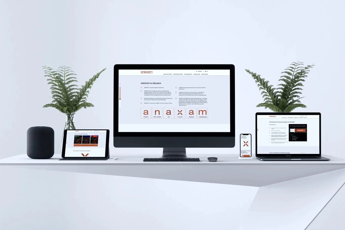 anaxam_website