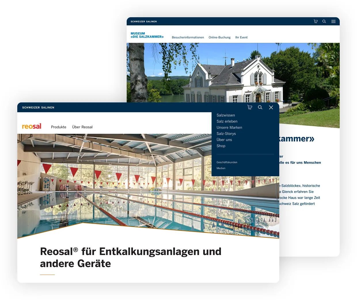 salz.ch destination example