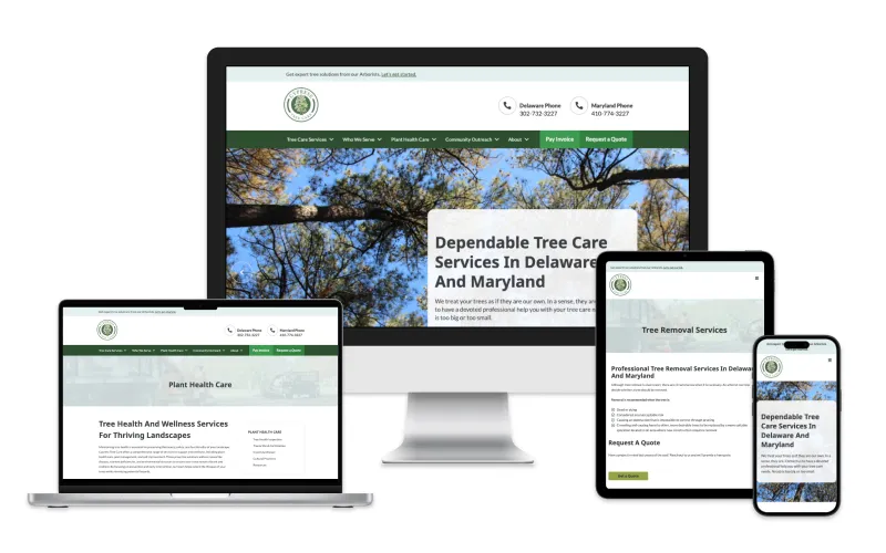 Cypress Tree Care