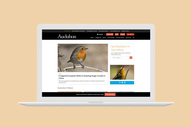 Audubon homepage on a MacBook