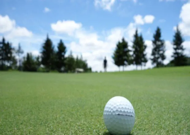 Golf EMS | Joshi Consultancy Services