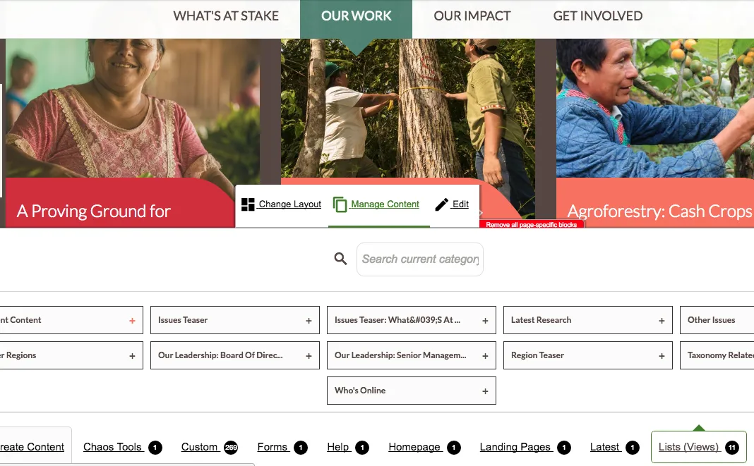 screenshot of editorial experience
