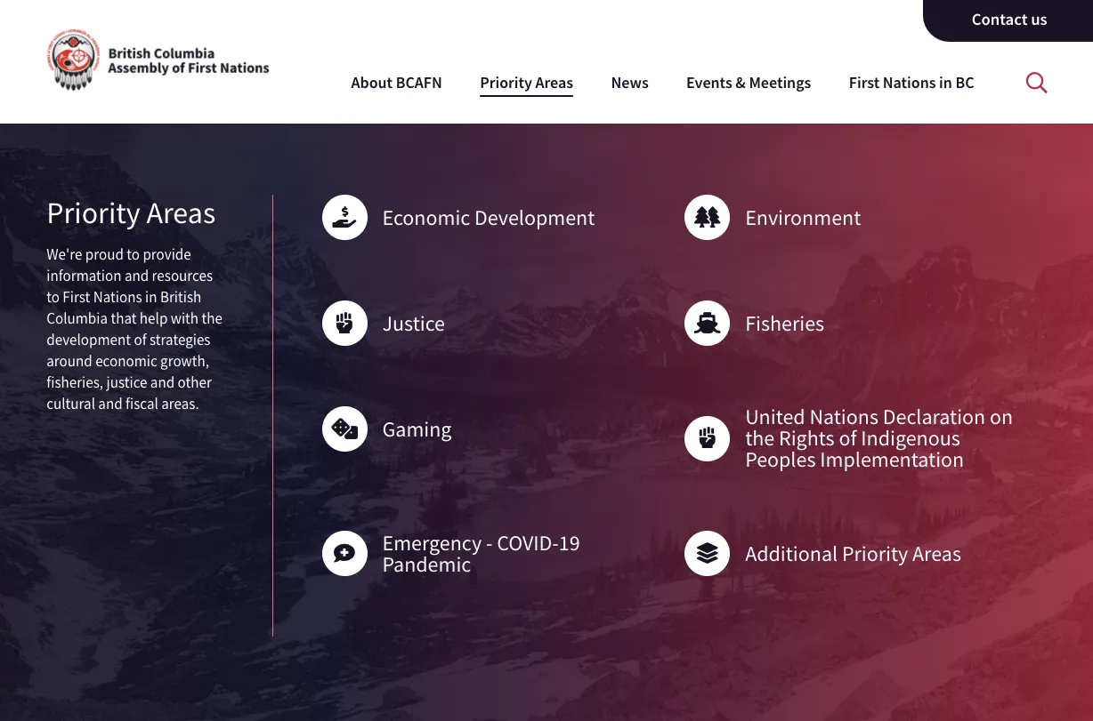 Priority areas webpage with icons and subsections 