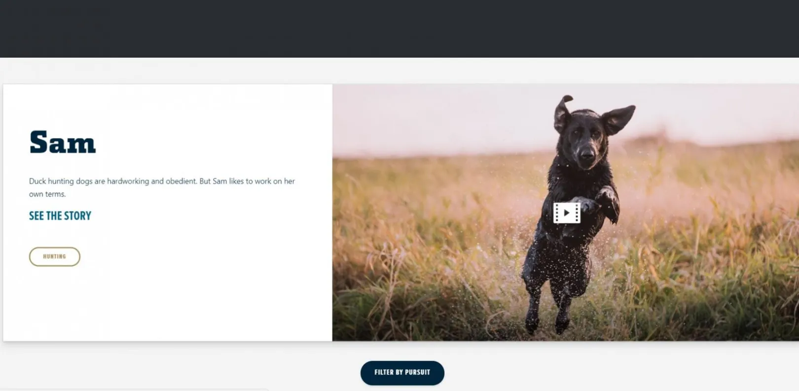 YETI Drupal 8 project, Drupal 8 experts, Appnovation Drupal 8