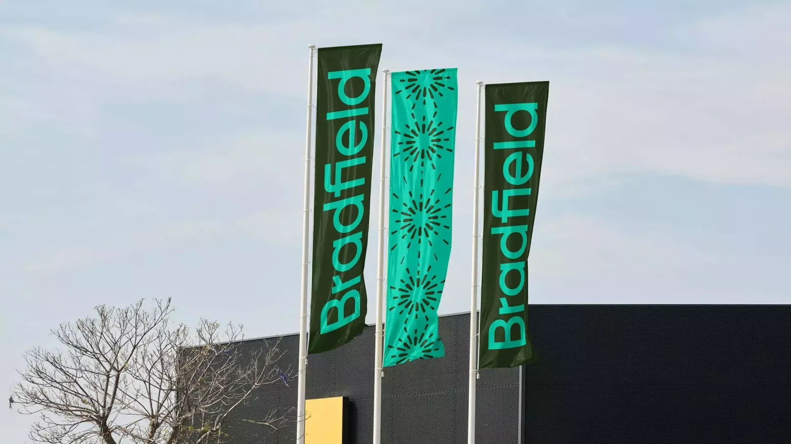 bradfield flags