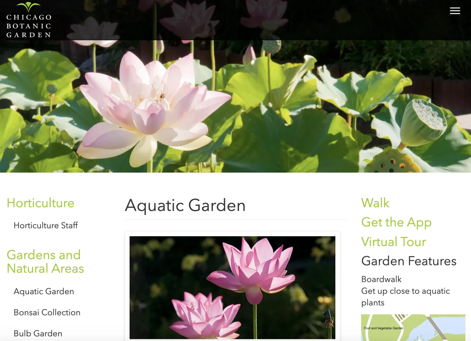 Aquatic page for Chicago Botanic Garden