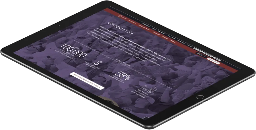 iPad Version of the site 