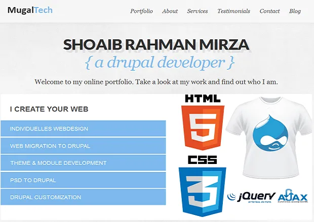 A Drupal Developer