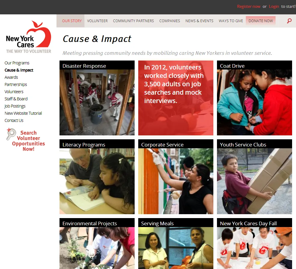 New York Cares Cause & Impact