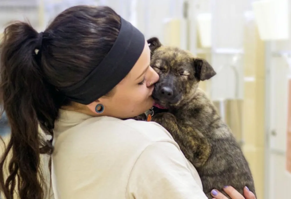 Image of a young woman with long brown hair in a ponytail holding a brown brindled puppy that appears to be sleeping and snuggly.