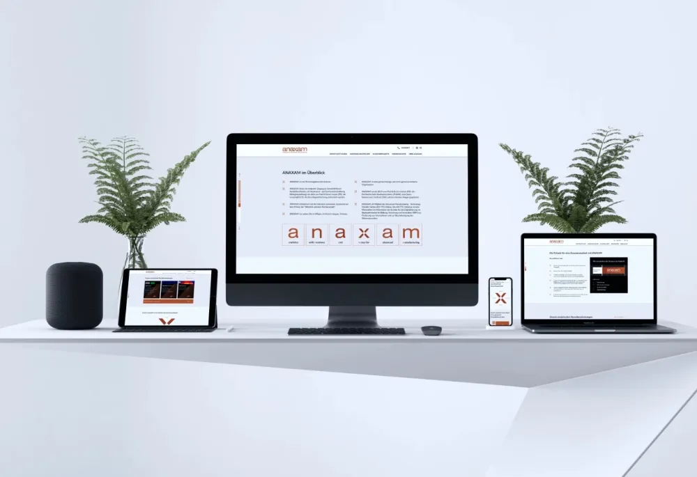anaxam_website