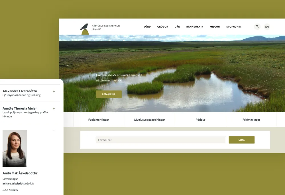 Screenshot of the NÍ website homepage