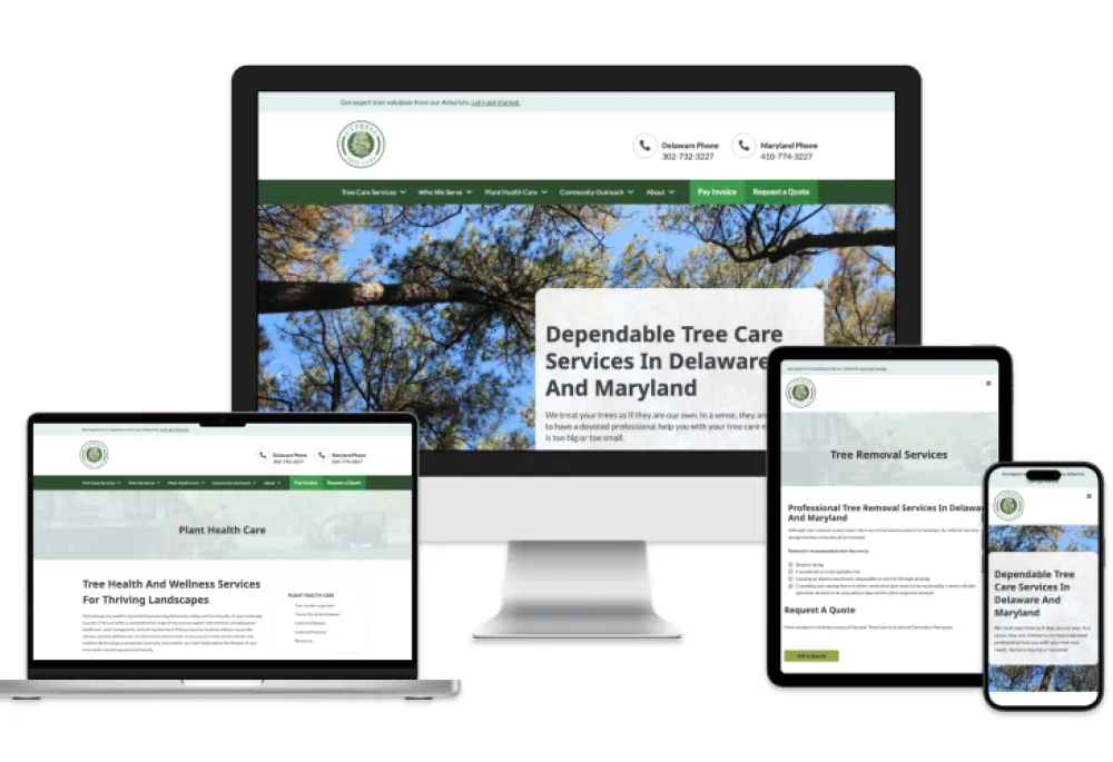 Cypress Tree Care