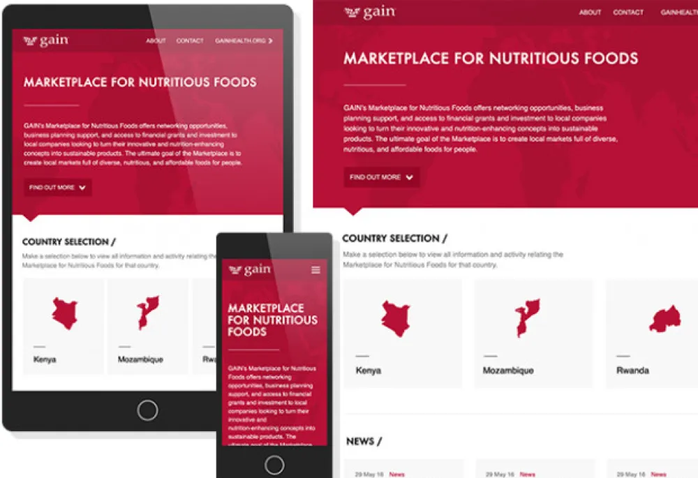 GAIN Marketplace for Nutritious Foods Drupal Homepage by Website Express