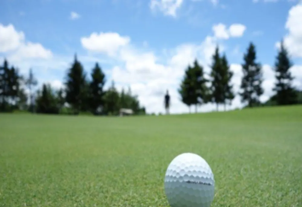 Golf EMS | Joshi Consultancy Services