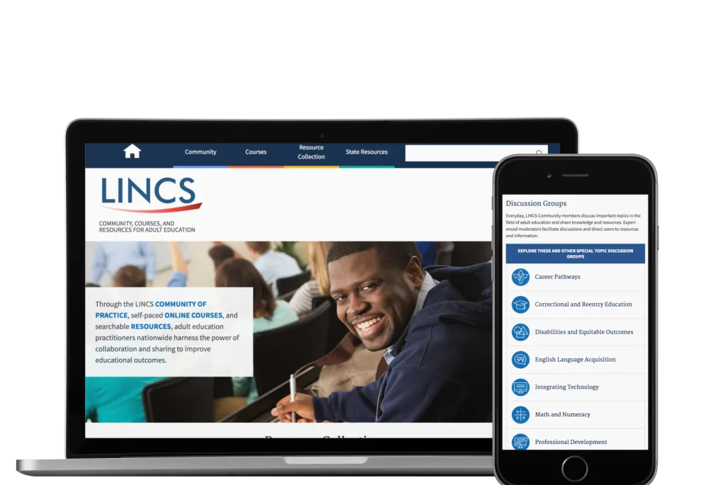 Screenshot featuring LINCS' website design
