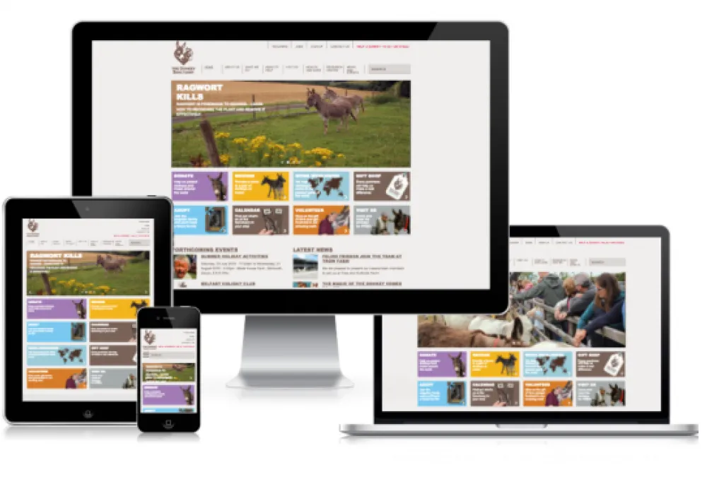 The Donkey Sanctuary Website 