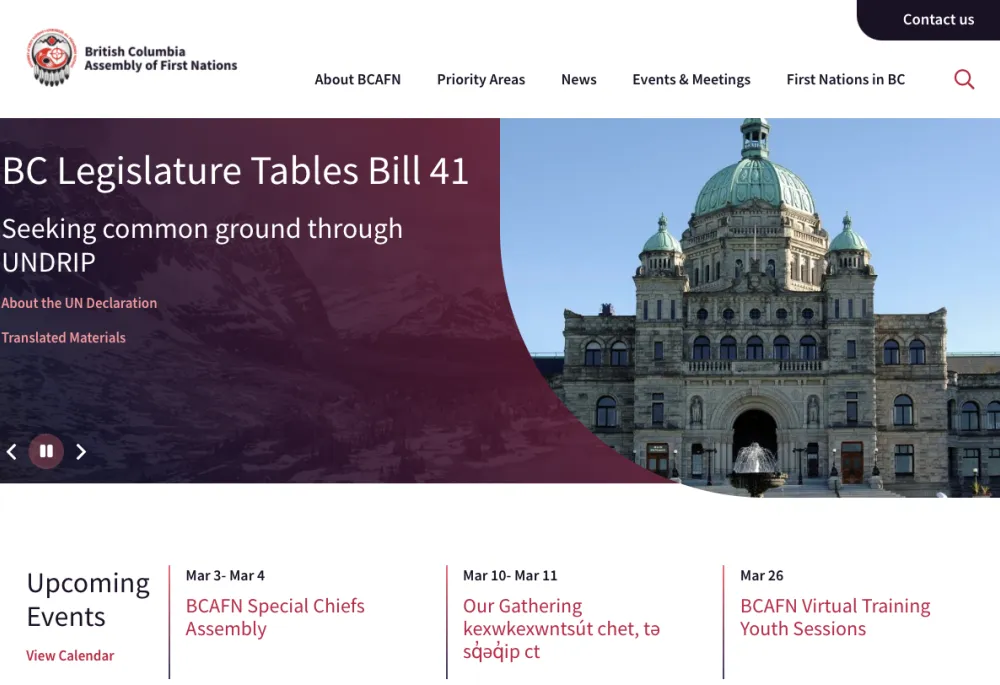 BCAFN website homepage. 
