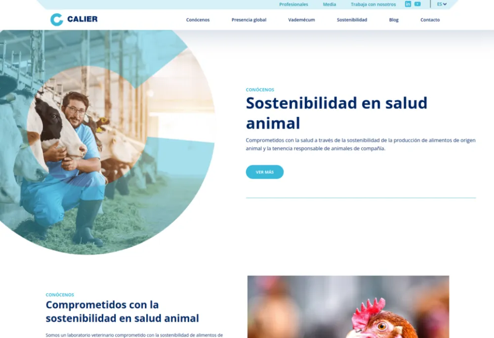 Calier.com screenshot