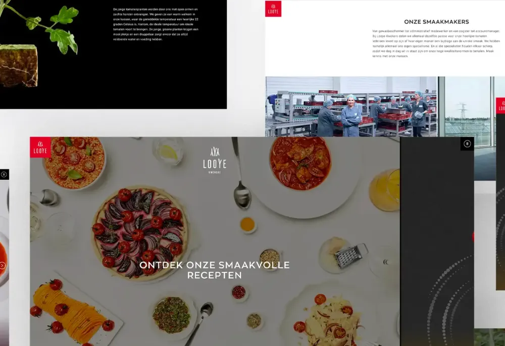 Looye website screenshots