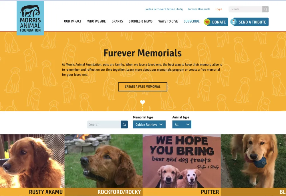 Furever Memorials Screenshot of Golden Retriever Lifetime Study Page