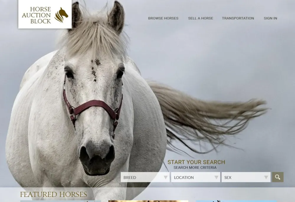 Horse Auction Block Home Page