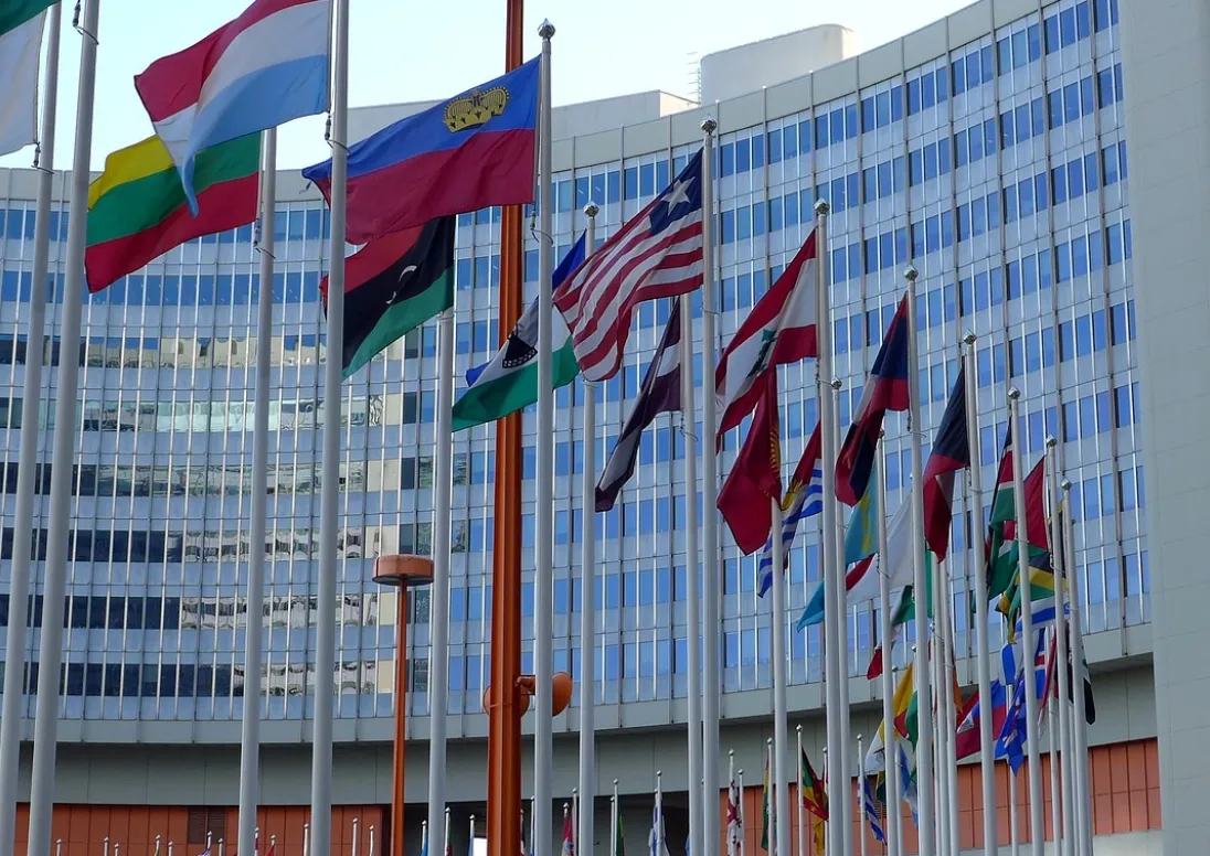 UN flags