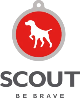 Scout: Be Brave
