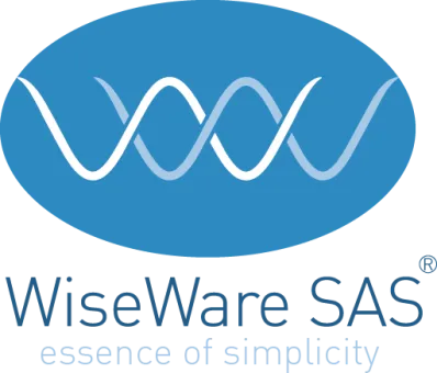 Wiseware SAS. Essence of simplicity.