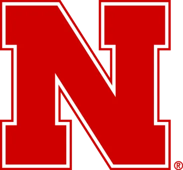 Red N logo