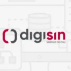 Digisin web agency