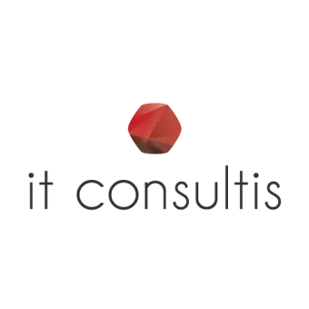 IT Consultis logo