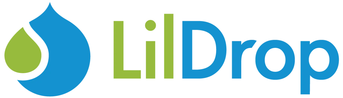 LilDrop Consulting logo image
