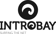 Introbay - Surfing the Net