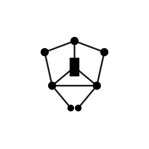 CodeIt Wisely Logo