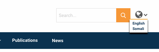 language options